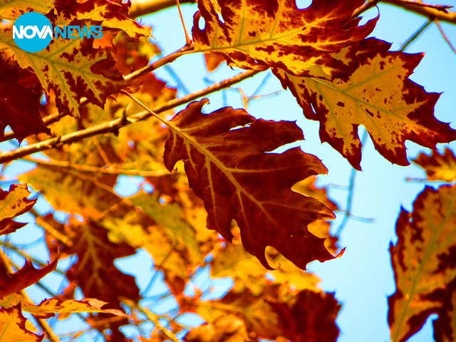 Все още есен