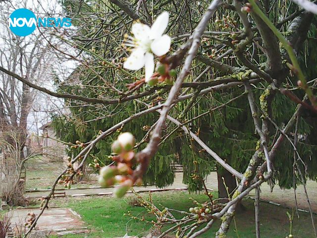 Пролет пукна