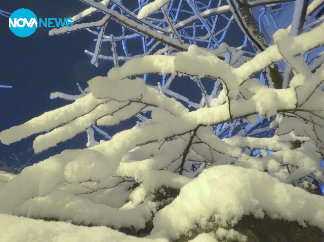 Снежна вечер