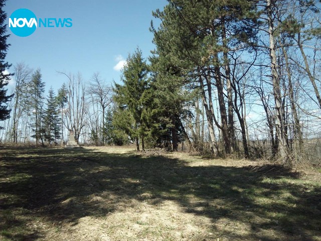 Изсечена гора в с. Ястребино