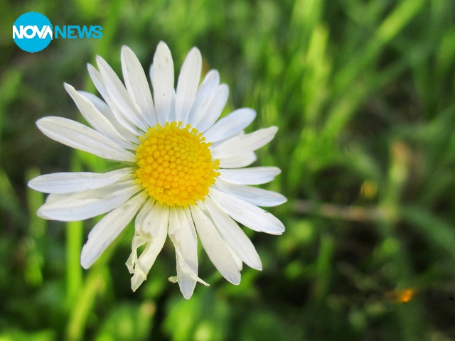 С поглед към слънцето