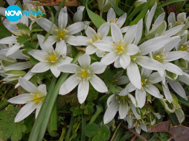 Красотата на малките неща