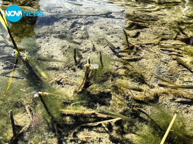 Природна красота