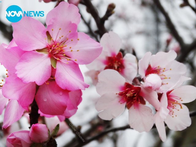 Пролетни пейзажи
