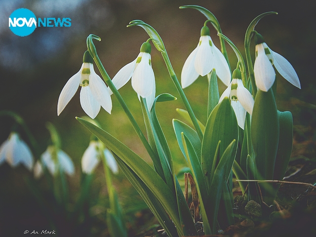 Снимка за прогнозата за времето