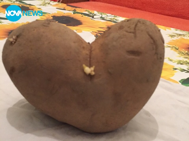 Картоф в формата на сърце