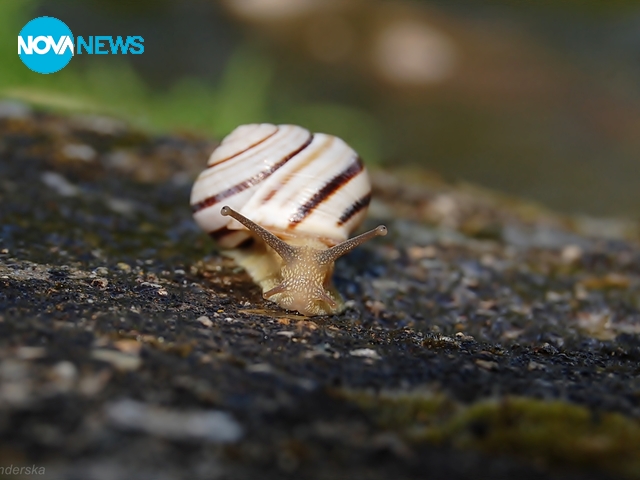 Дъжд, а после Слънчо