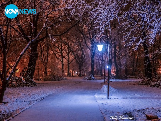 Вечер в парка