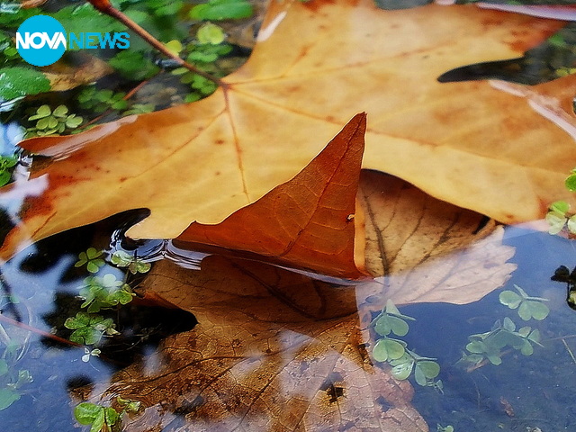 За прогнозата на времето
