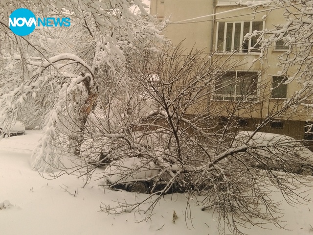 Последиците от снега в гр. Плевен
