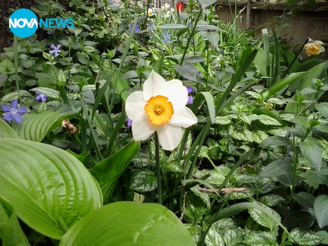 Игра на цветове