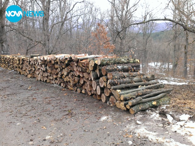 Сеч във вилна зона "Чукарите" край Котел