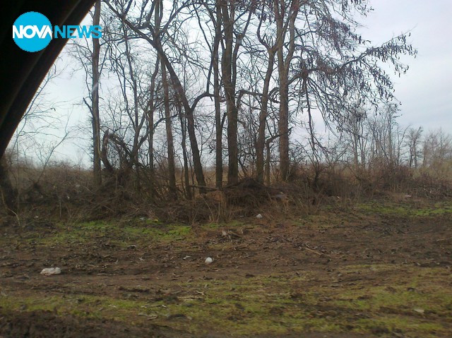 Белите дробове на Земята