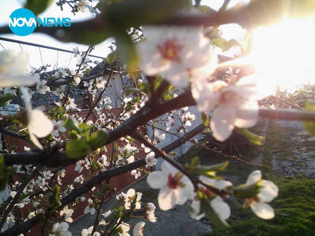 Пролетта идва