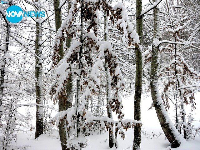 Зимата се завърна