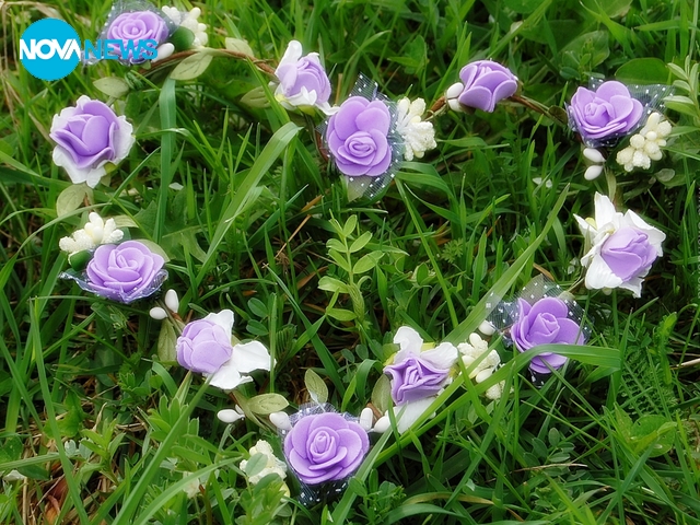 Прогноза за времето