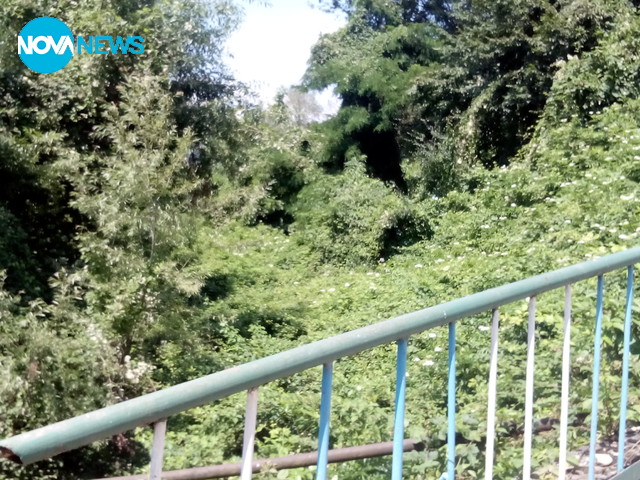 Непочистена река във Вършец