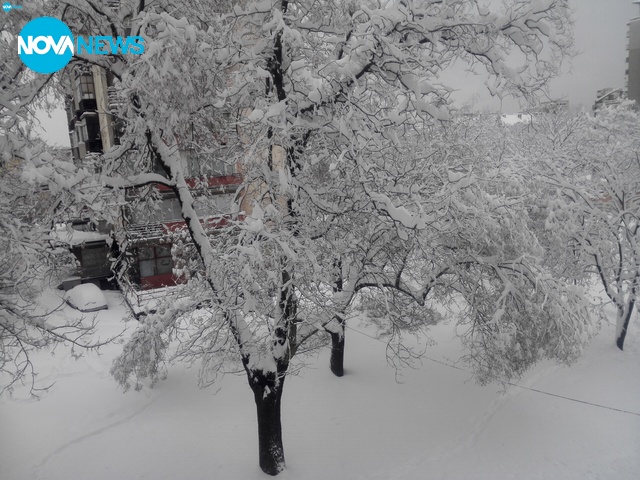 Снежна София