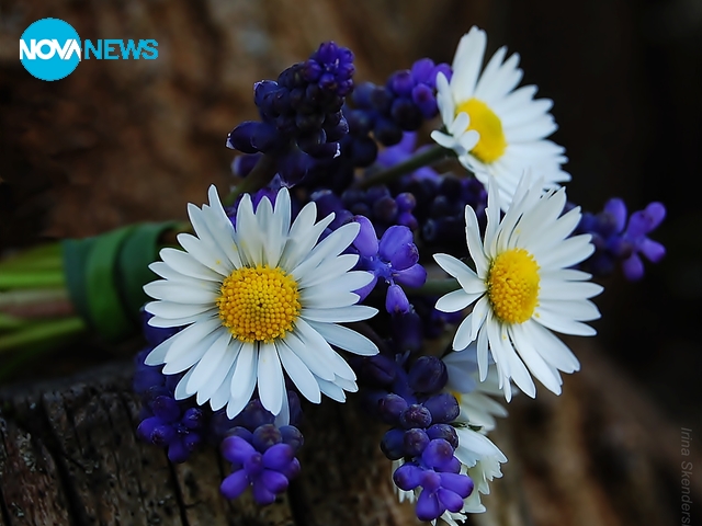 Букет пролет