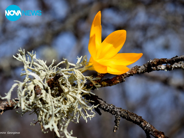 Пролетно настроение