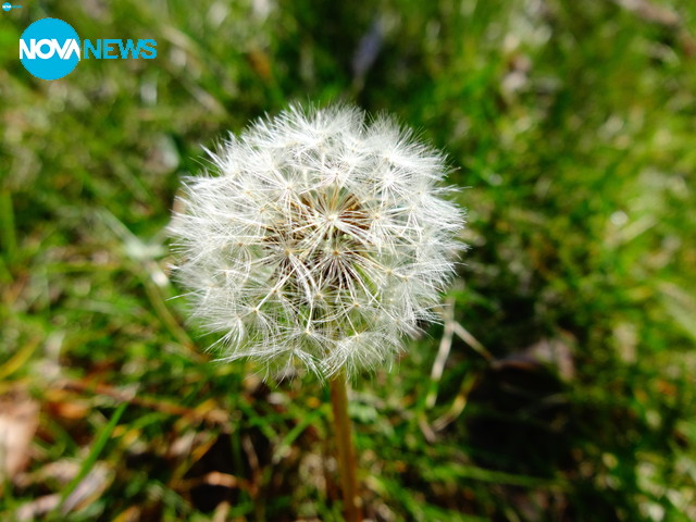 Пролетта ни напомня за себе си!