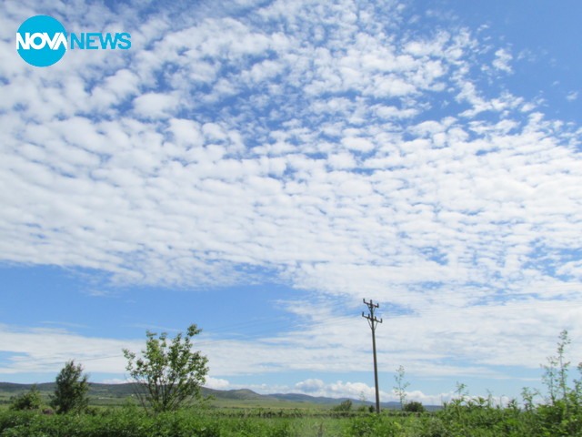 Сред природата