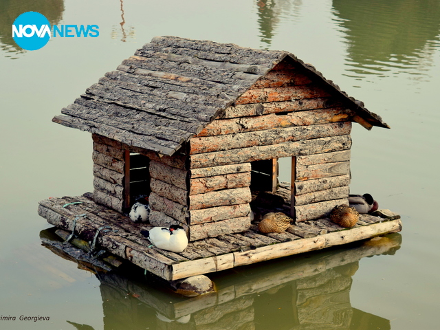 Къщичка за водоплаващи птици