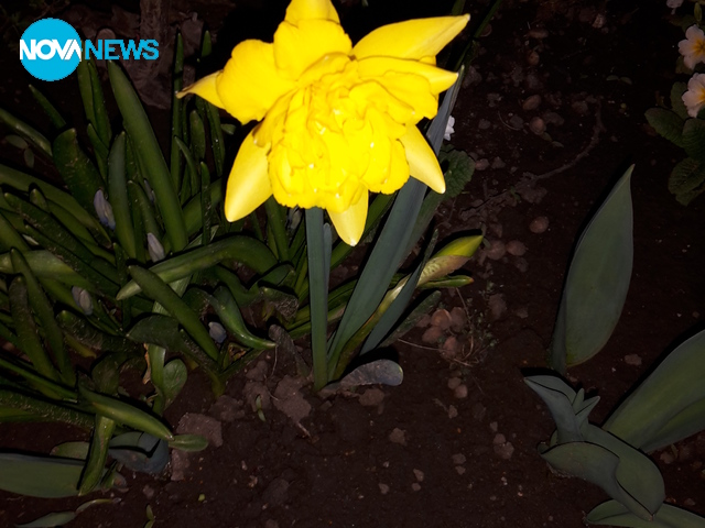 Красотата на пролетта