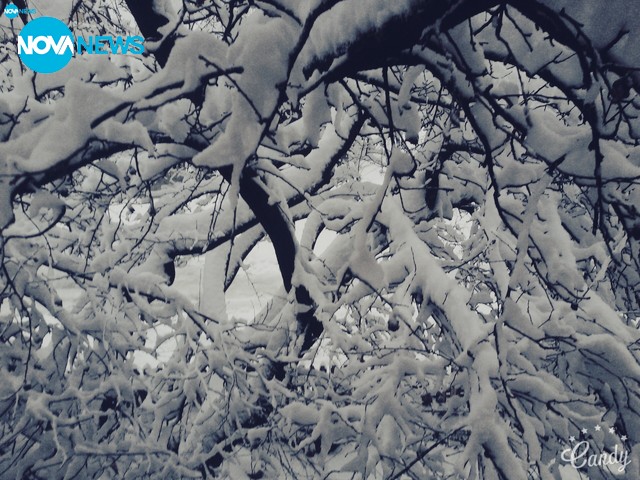 Още зимни пейзажи