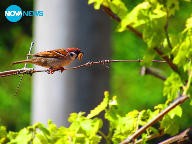 Време е за обяд!