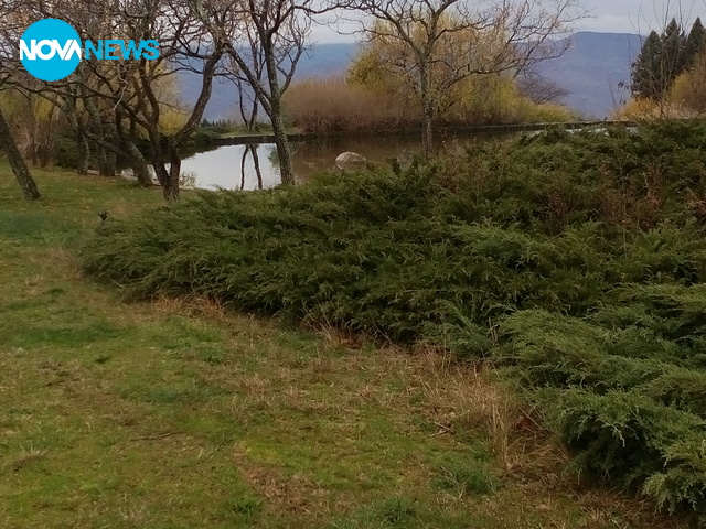 Пролетен дъждец в Сандански