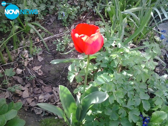 Градинката през април!