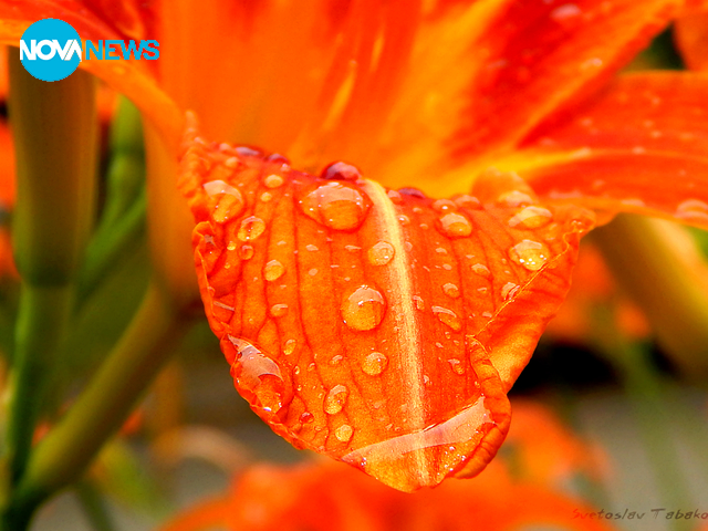 След дъжд...