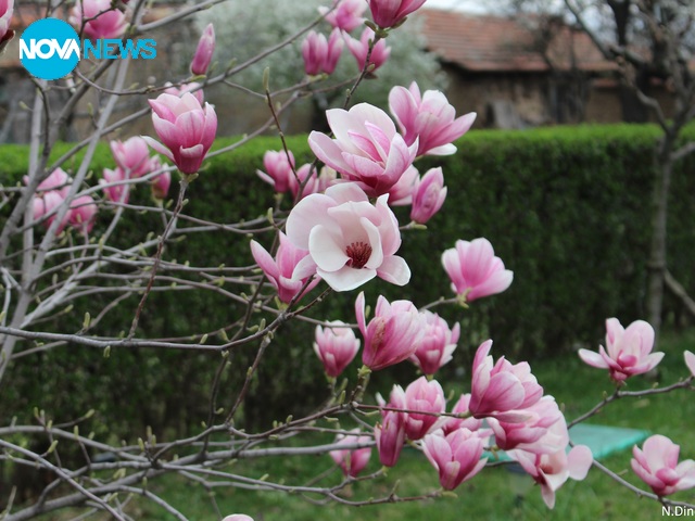 Прогнозата за времето