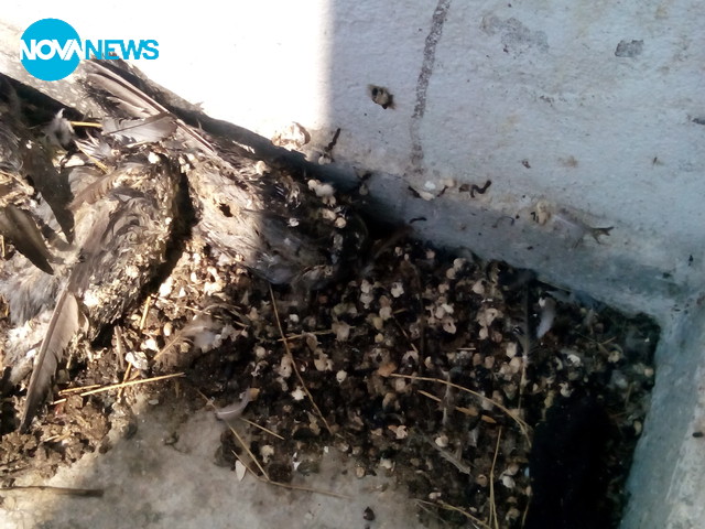 Мръсотия в хотел в центъра на града