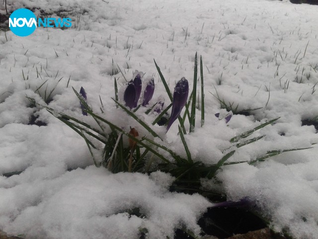 Късмет със сняг