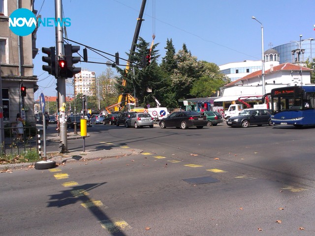 Отрязаха вековно дърво в Бургас