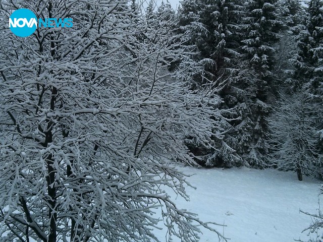 Зимна приказка