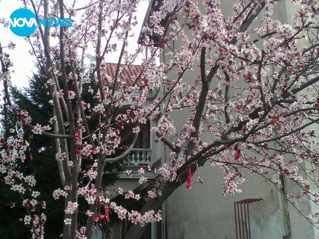 Първа пролет в Лом