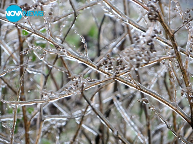 Декември ни посреща с ледена красота