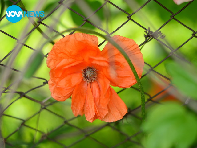 С дъх на пролет!