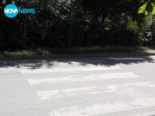 Пешеходна пътека