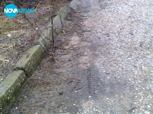 "Чистотата в Ивайловград"