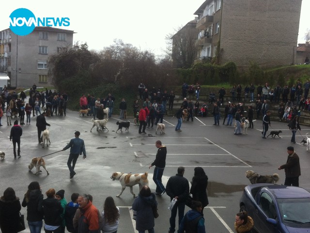 Киноложка изложба в гр. Радомир