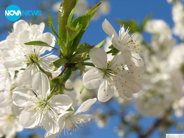 Прогноза за времето
