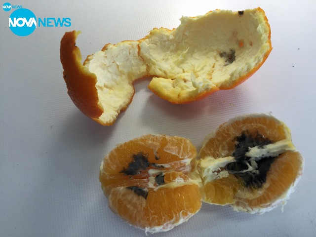 Развалени стоки на пазара в Русе