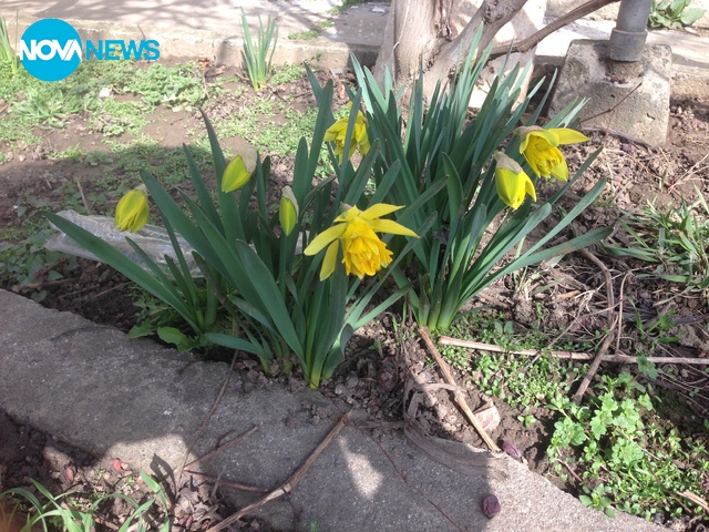 Пролетта наистина настъпи