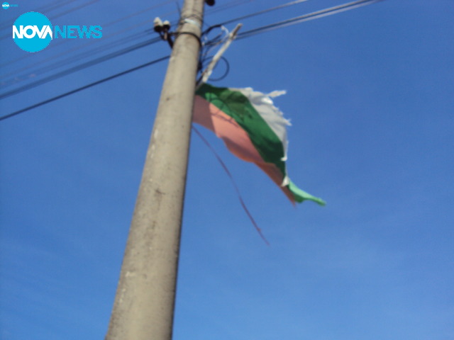 Гавра с националния флаг