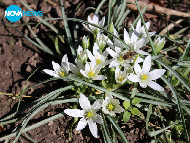 С дъх на пролет