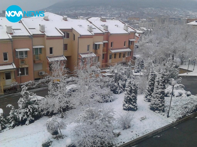 Сняг на първа пролет